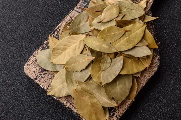 Lauro lapų panaudojimas