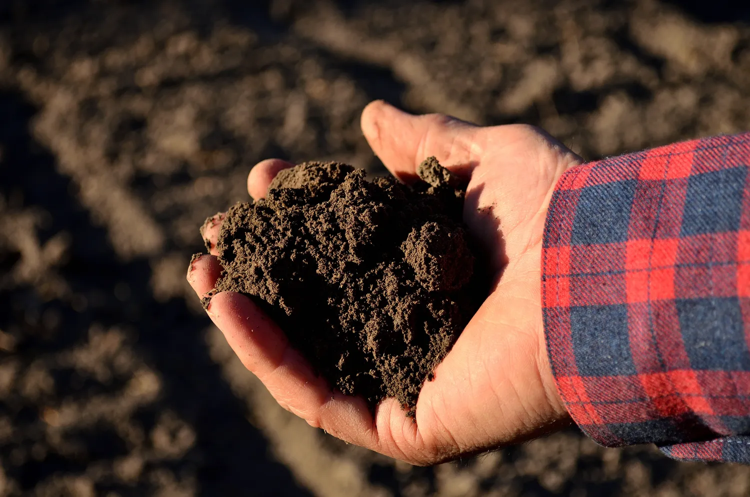 Norint išvengti klaidų, verta ne spėlioti, o matuoti
