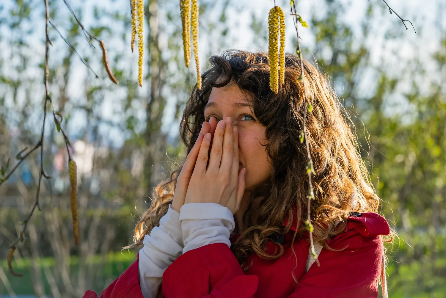 Pavasarinė alergija beržų žiedadulkėms