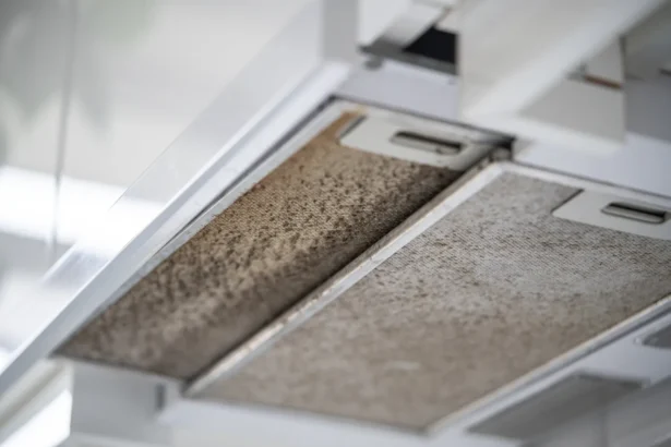 Gartraukis pasidengęs riebalais