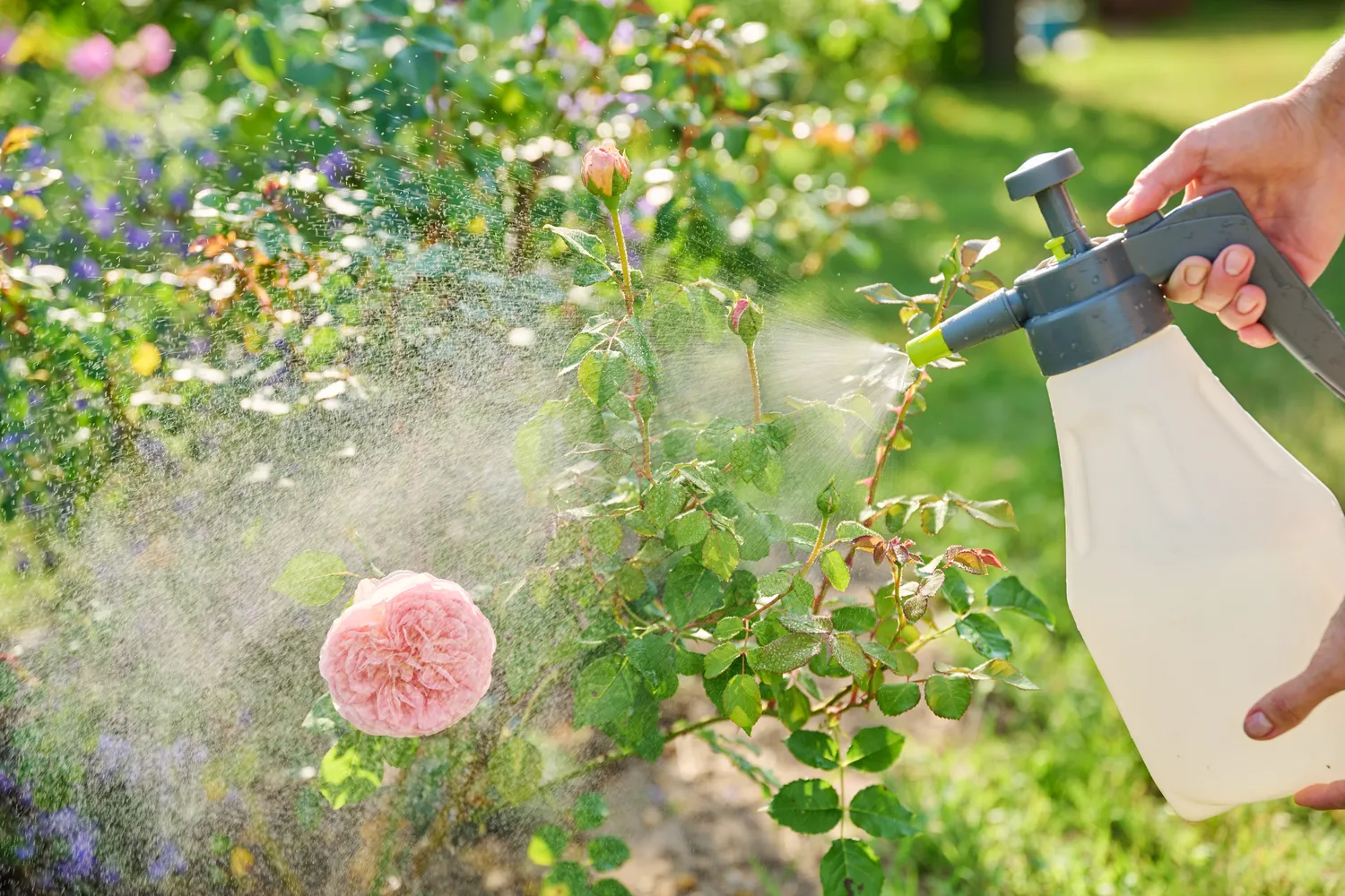 Shutterstock 2663973111