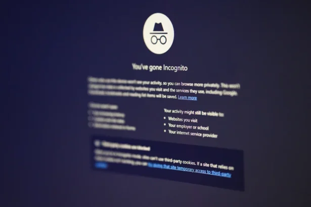 Interneto naršyklė / fireFX / Shutterstock.com