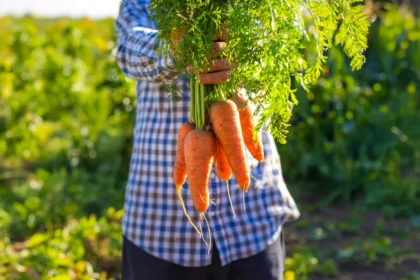 Shutterstock 2687565691