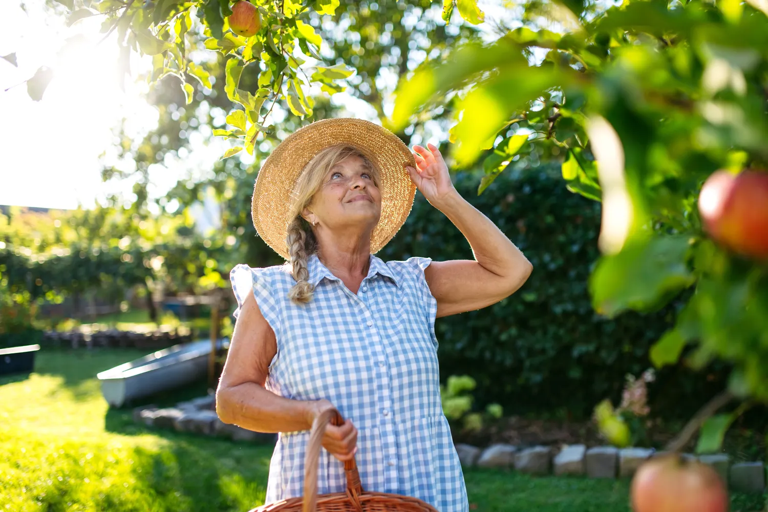 Vaismedžių apsauga be chemijos tikrai įmanoma - tam reikia šiek tiek daugiau dėmesio, kantrybės ir supratimo, kad stiprus sodas prasideda ne nuo purškalo, o nuo tinkamos priežiūros