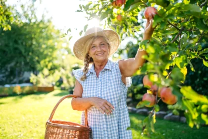 Tinkamai prižiūrimi vaismedžiai gali būti sėkmingai apsaugoti ir natūraliomis priemonėmis, kurios ne tik veikia, bet ir padeda išlaikyti sodą gyvybingą ilgus metus