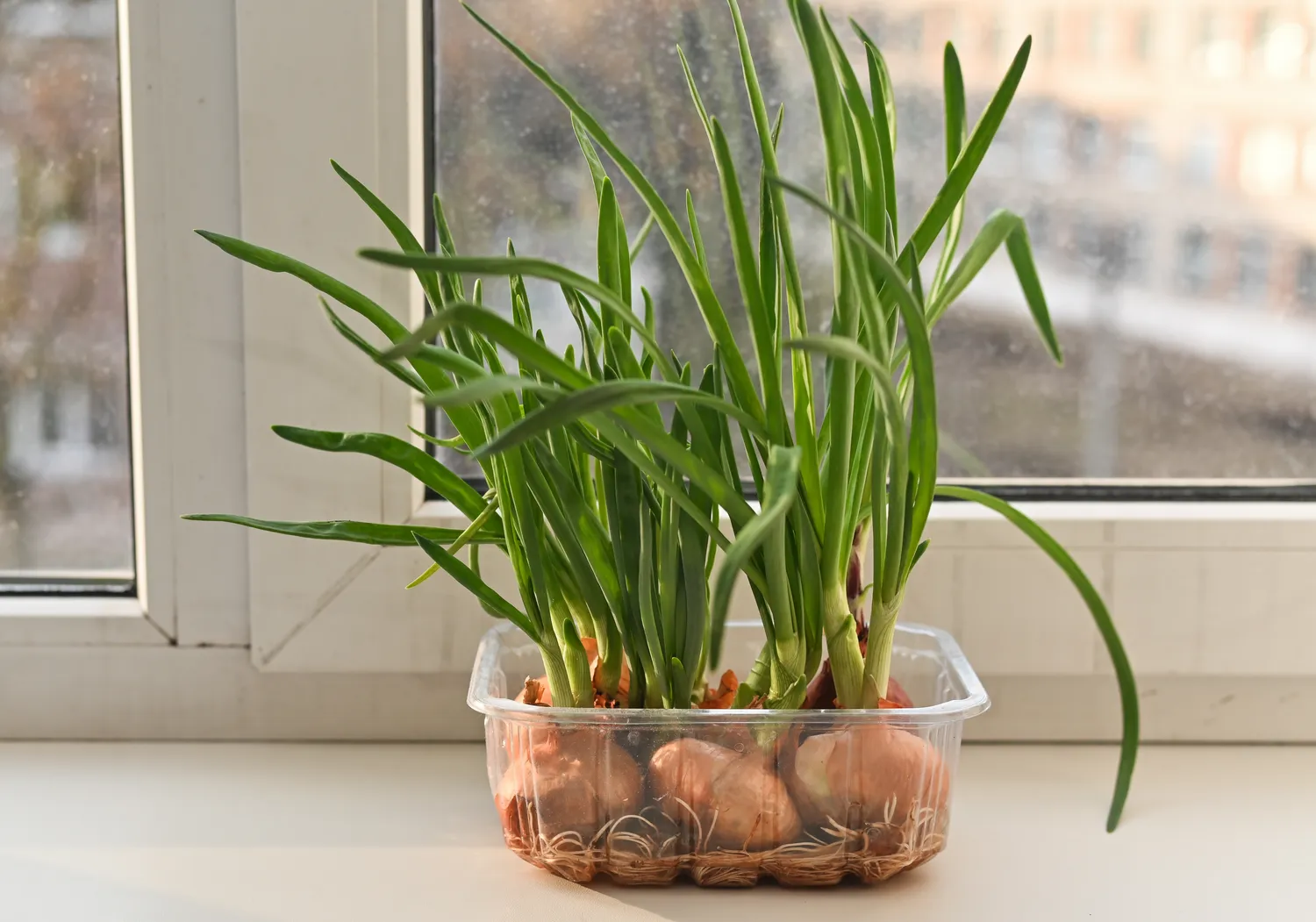 Shutterstock 2695122675