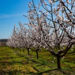 Shutterstock 2703827355