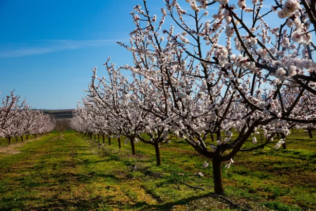 Shutterstock 2703827355