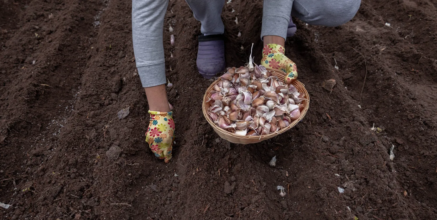 Shutterstock 2705121873