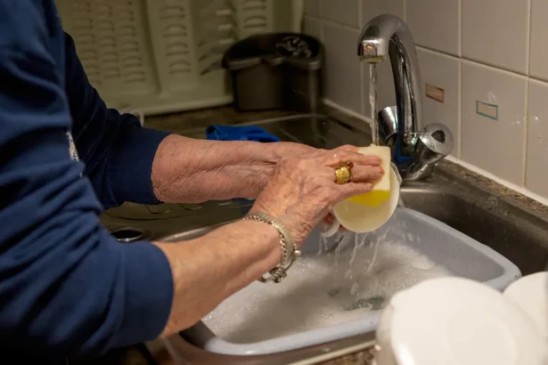 Drėgni indai po plovimo