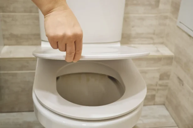 Tualeto dangčio uždarymas