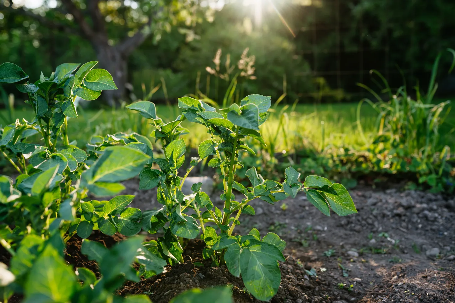 Shutterstock 2739470825