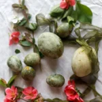 Shutterstock 2754777947