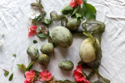 Shutterstock 2754777947