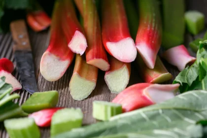 Patiekalai iš rabarbarų