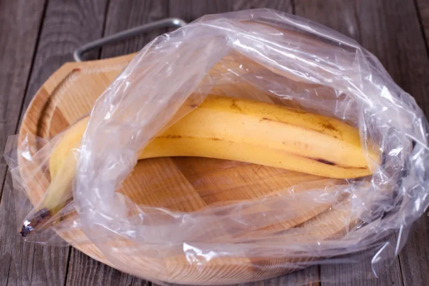 Shutterstock 353664809