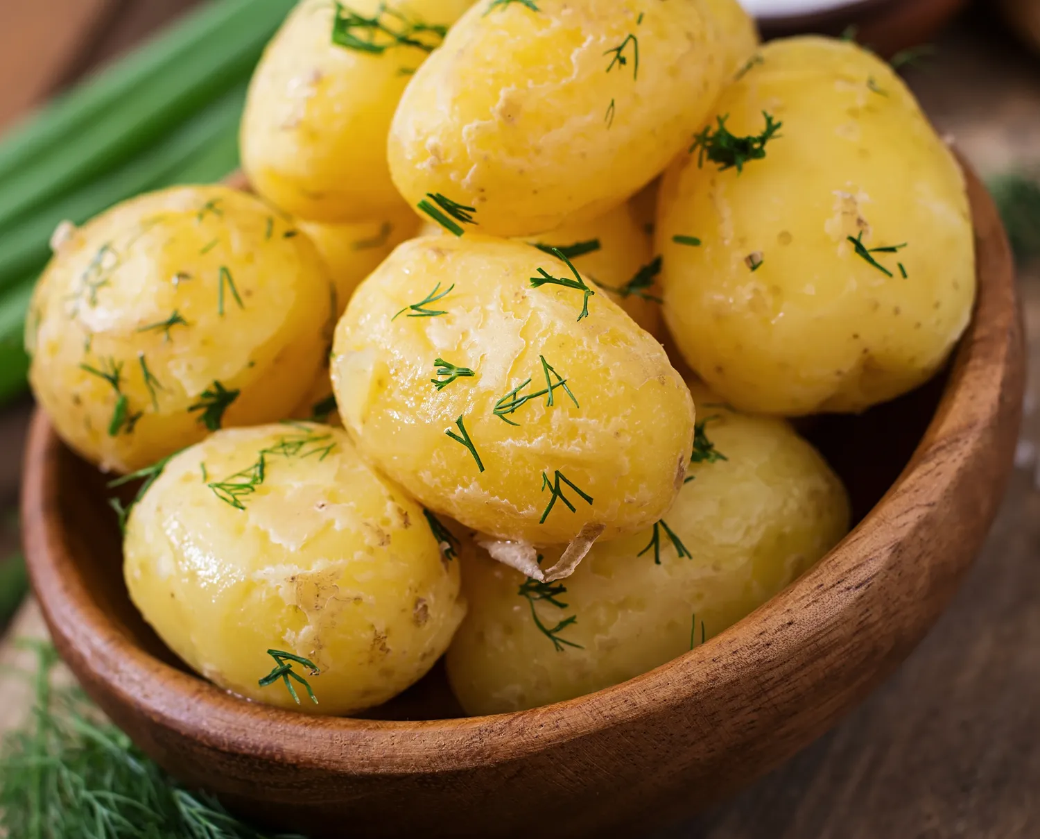 Shutterstock 457781743