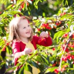 Shutterstock 586855112