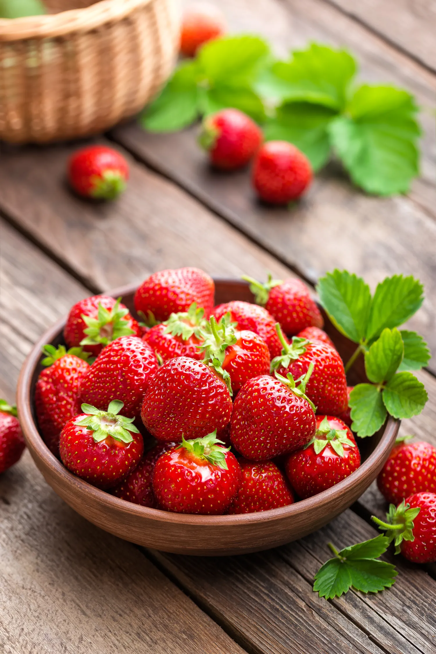 Braškių laistymui skirto mišinio paruošimas nereikalauja nei ypatingų žinių, nei sudėtingų priemonių