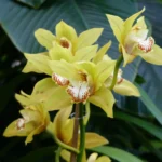 Shutterstock 782053102