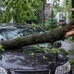 Per audrą nuvirtęs medis apgadino mano automobilį