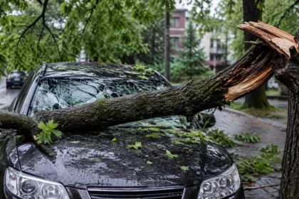 Per audrą nuvirtęs medis apgadino mano automobilį