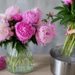 ChatGPT Image 2026 05 30 16 33 08