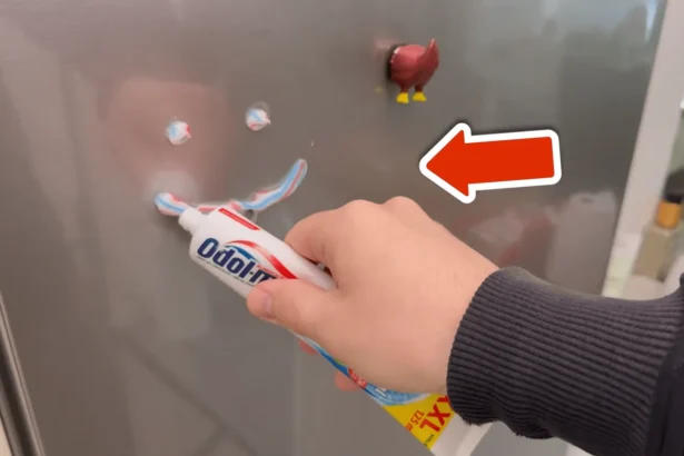 Dantų pastos užtepimas ant šaldytuvo