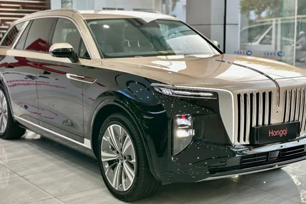 Hongqi E HS9