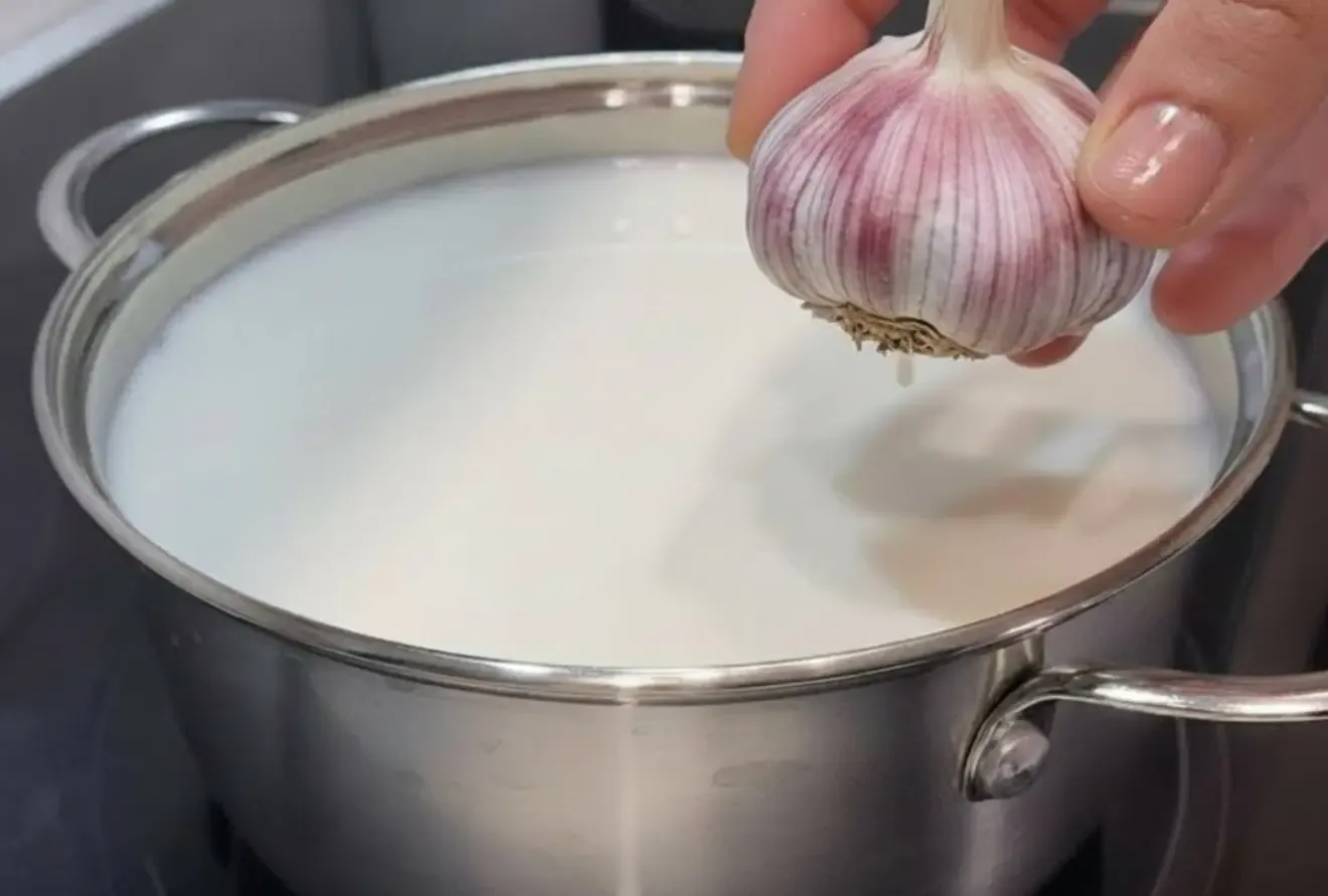 Varškės sūrio gaminimas pasitelkiant česnaką
