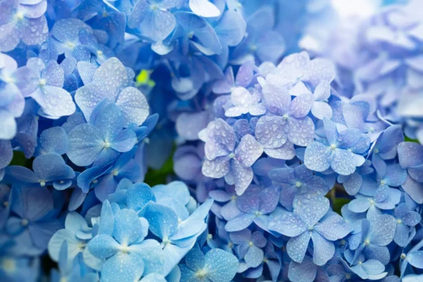 Shutterstock 1105100177