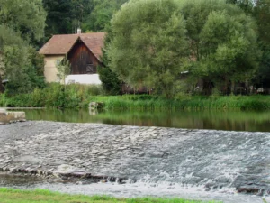 Nusipirko namą prie upės ir tikėjosi ramybės: vasarą suprato, kad gyvena ne gamtoje, o šalia neoficialios šventvietės