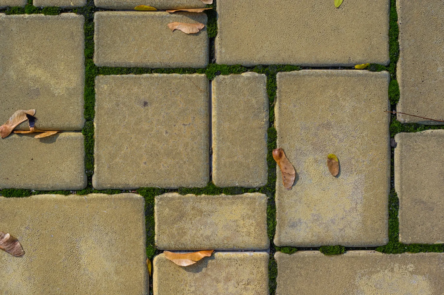 Shutterstock 1524252071
