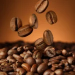Shutterstock 2450667249