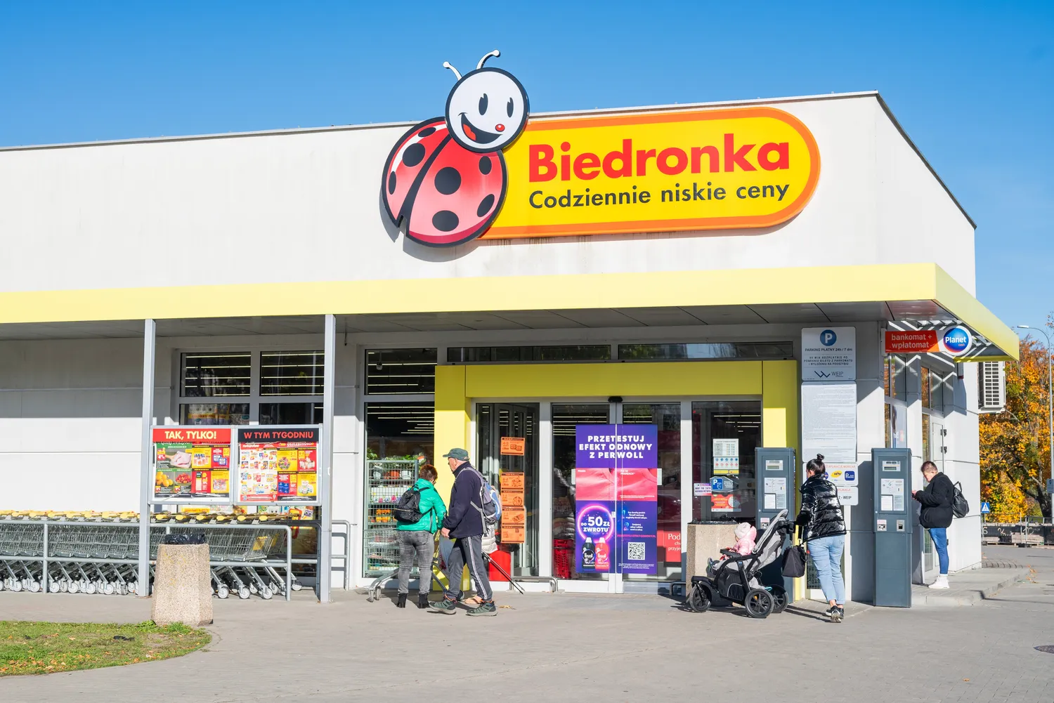Biedronka / Sheviakova Kateryna / Shutterstock.com