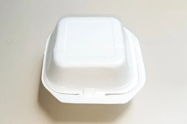 Trikampis ant plastikinio indo