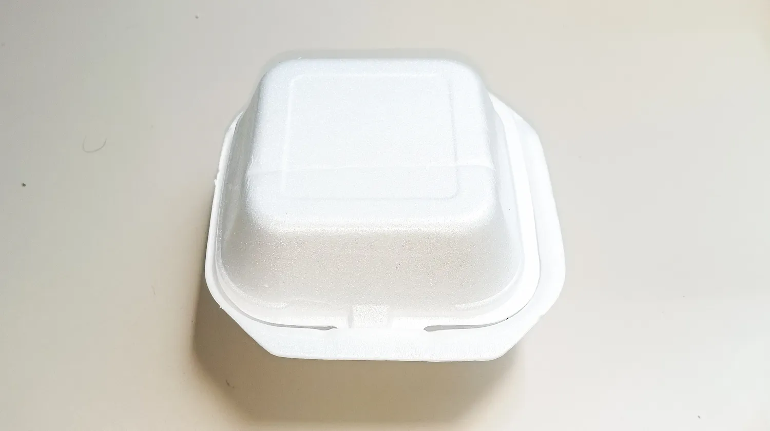 Trikampis ant plastikinio indo