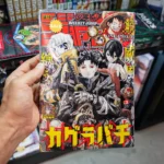 Anime / AS project / Shutterstock.com