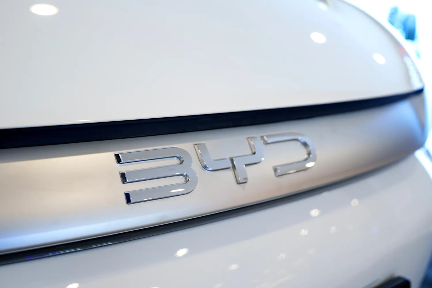 BYD / TY Lim / Shutterstock.com