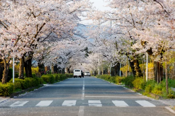 Shutterstock 2704952951