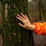 Medžiai kurie sugeria blogą energiją