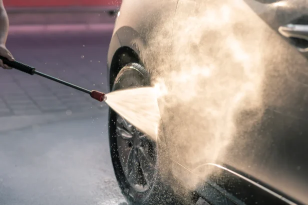 Automobilio plovimas ir vabzdžių liekanų pašalinimas