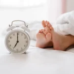 Shutterstock 2287818733