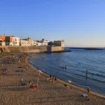 Galipolis / Wirestock Creators / Shutterstock.com