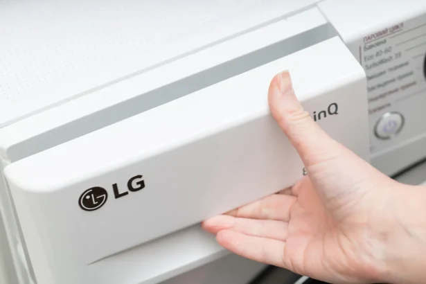 Problemos su LG skalbimo mašina / Ruslan Lytvyn / Shutterstock.com