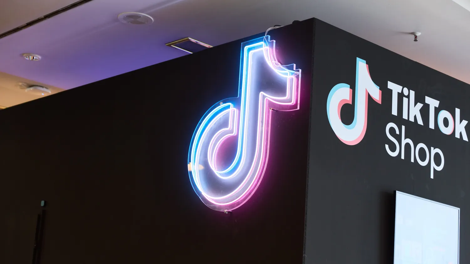 TikTok Shop ateina į Lenkiją / Robert Kneschke / Shutterstock.com