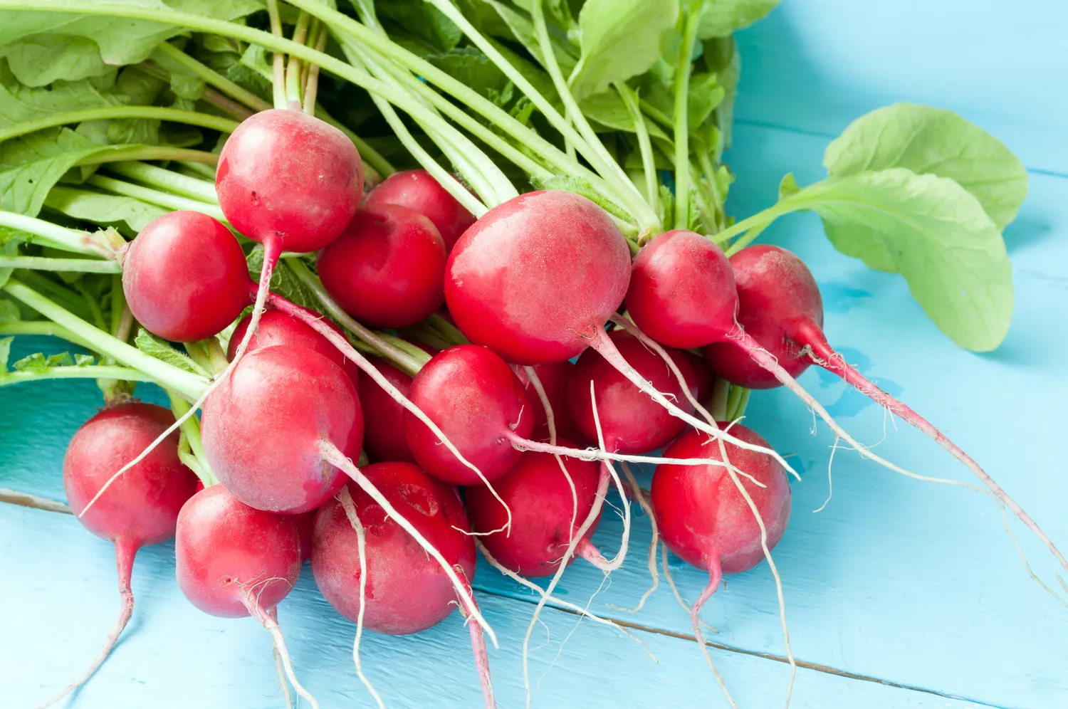 Shutterstock 390547399