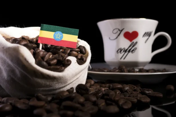 Etiopijos kava