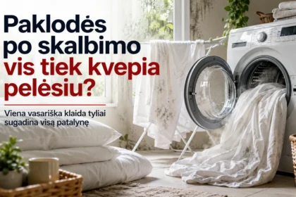 Paklodės po skalbimo vis tiek kvepia pelėsiu?