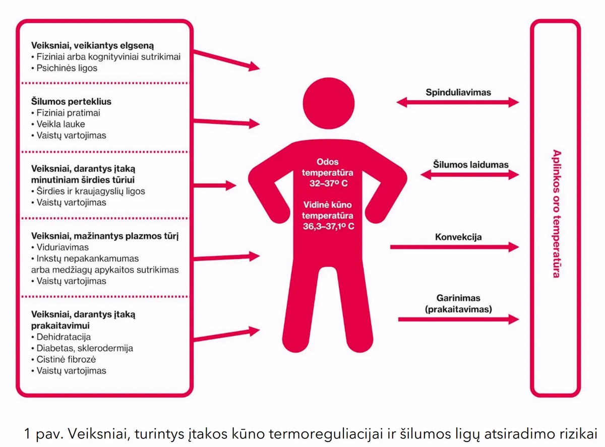 Karštis žmogaus organizmą veikia įvairiais būdais